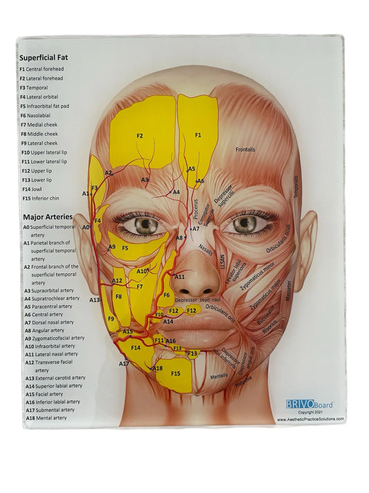Brivo Board (w/out syringe clips)